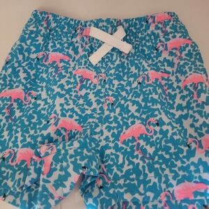 CHUBBIES Baby Boys THE MINI MINGOS SWIM TRUNKS SIZE 6-12M Beach Vacation